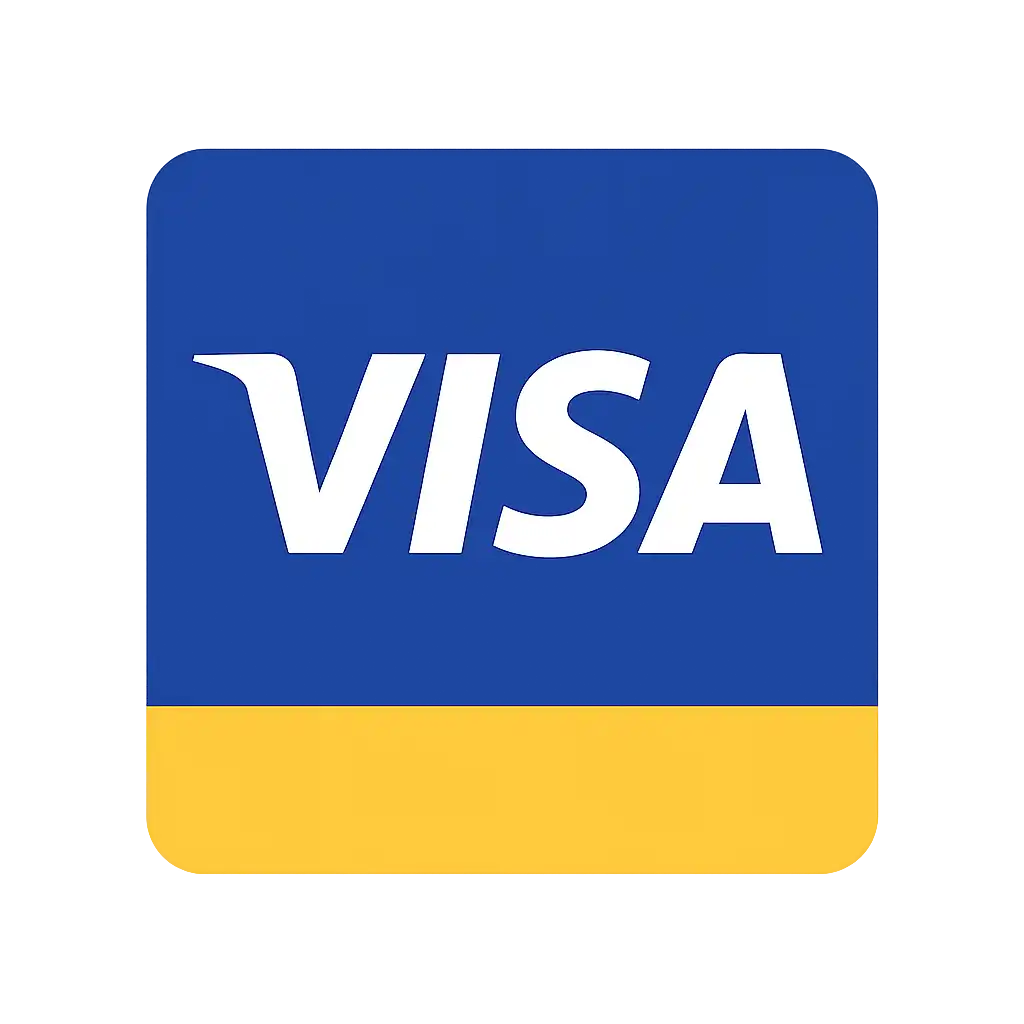 Visa payment icon